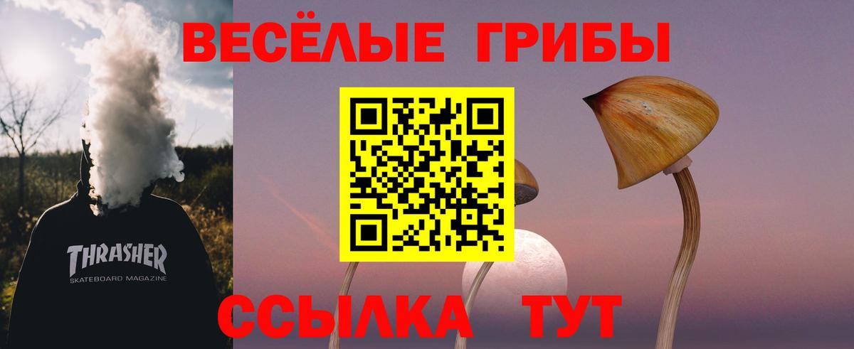 Псилоцибиновые грибы мухоморы  Вход с VPN  Ивантеевка  Псилоцибиновые грибы GOLDEN TEACHER 
